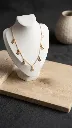 WhatsApp Image 2026-05-09 at 7.36.00 AM.webp